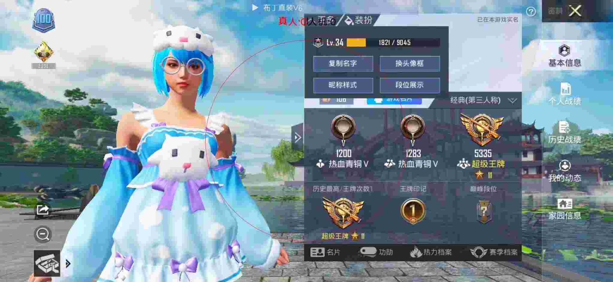 和平精英布丁直装透视 - 和平精英外挂皮肤图片辅助预览图